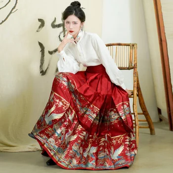 Pôvodné Dynastie Ming Červený Kôň Tvár Sukne Tradičnej Čínskej Štýl Ženy Hanfu Šaty Nastaviť Elegantný Retro Tričko 2ks/Set